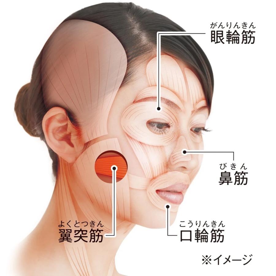 美容 美顔器 フェイスケア 顔 目元 口元 額 鼻筋 顎 ケア 引き締め ミリオンスマイルターボ 特別セット（薬用ホワイトリンクルジェル＆美肌パック付き）  AR2465｜dinos｜05