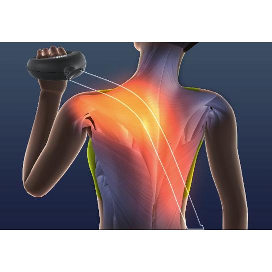 dinos（ディノス） ストレッチ ゴム バンド 肩 腰 背中 ストレッチ