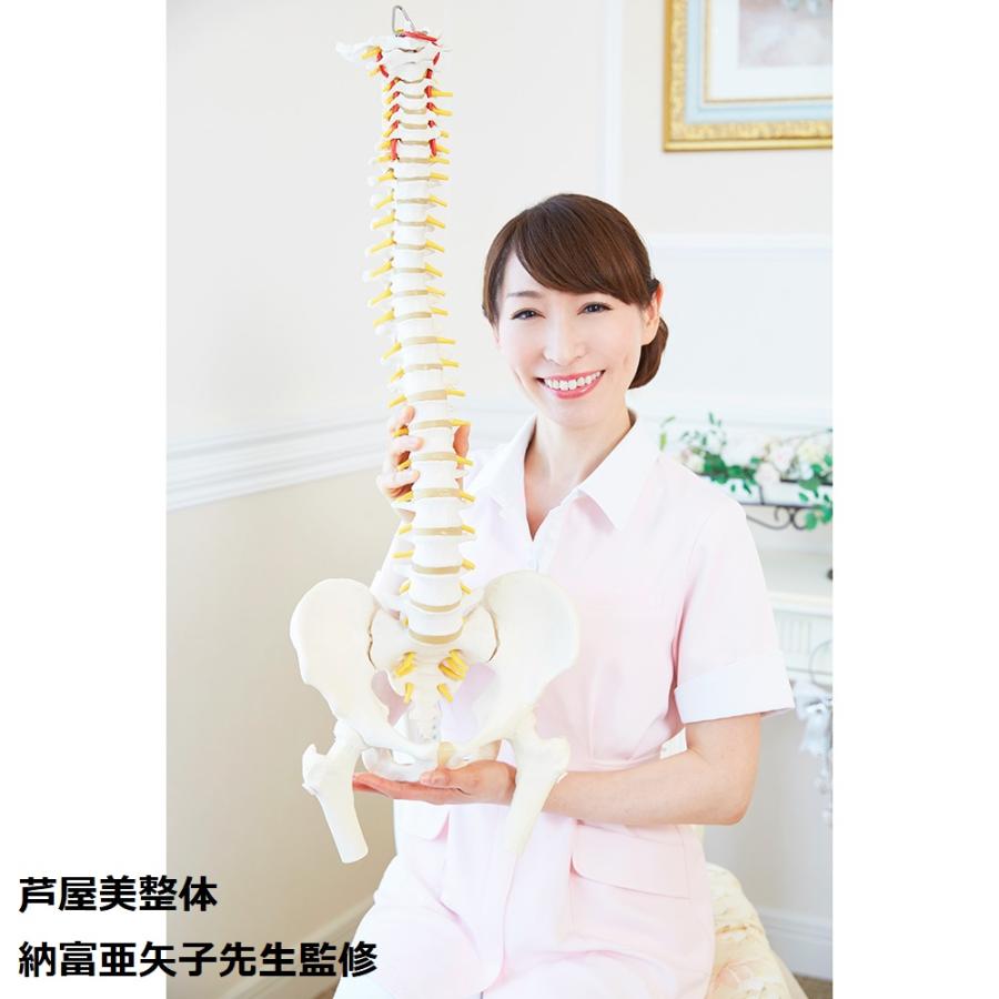 シェイプス 骨盤 引き締め ヒップアップ 芦屋美整体 骨盤エアー