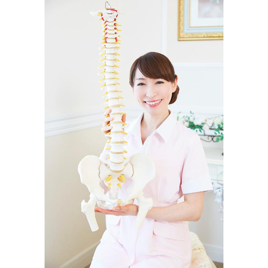 dinos（ディノス） 芦屋美整体 骨盤エアーリセットベルト シェイプ