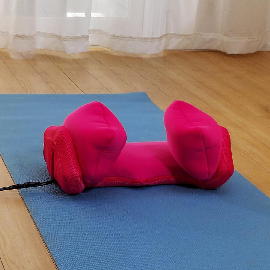 dinos（ディノス） エアプリエ DELUXE（デラックス） 寝るだけ