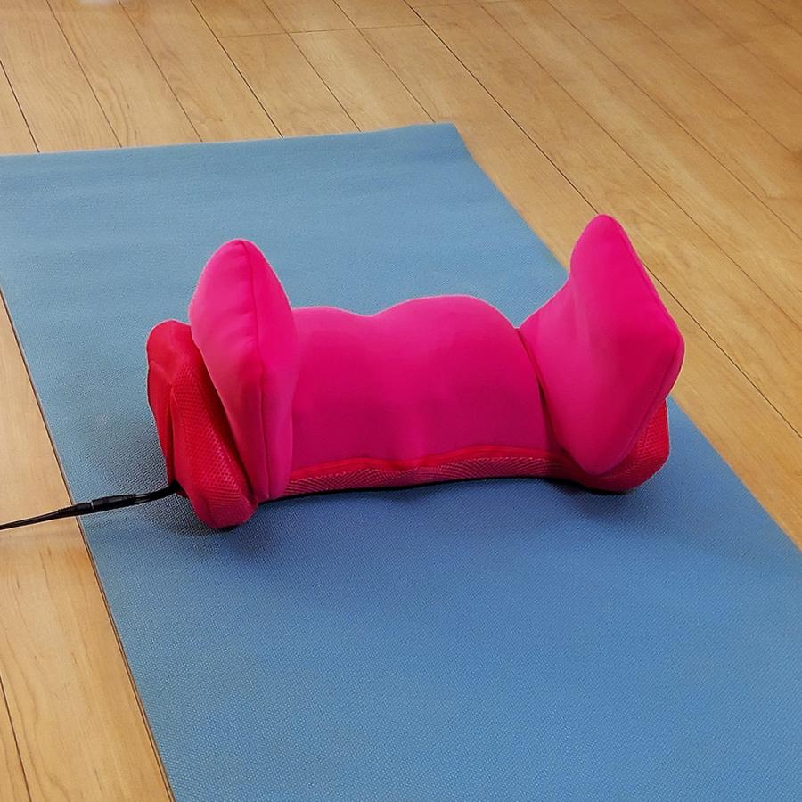 dinos（ディノス） エアプリエ DELUXE（デラックス） 寝るだけ