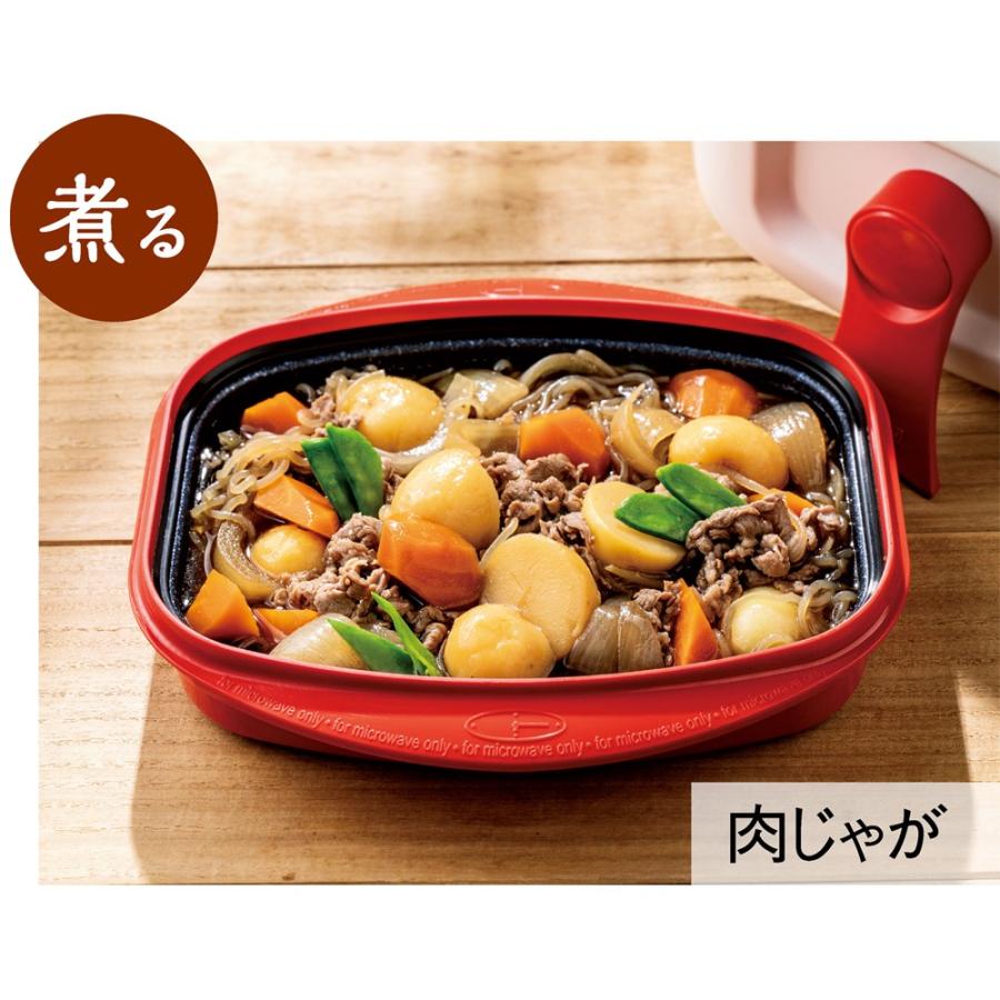 レンジメートプロ お得な2個セット 電子レンジ専用調理器 焼き魚 
