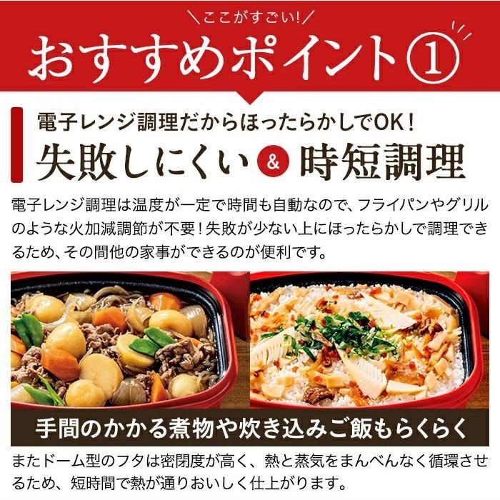 RANGEMATE（レンジメート） レンジメートPRO グランデ お得な2個セット