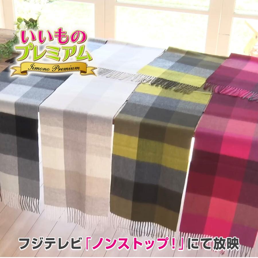 レディース 女性 高級 上質 おしゃれ 冬 防寒 小物 暖かい コンパクト 洗える カシミヤ100％ ブロックチェックマフラー マフラー AR2583 dinos（ディノス） レディース 女性 高級 上質 おしゃれ 冬 防寒 小物