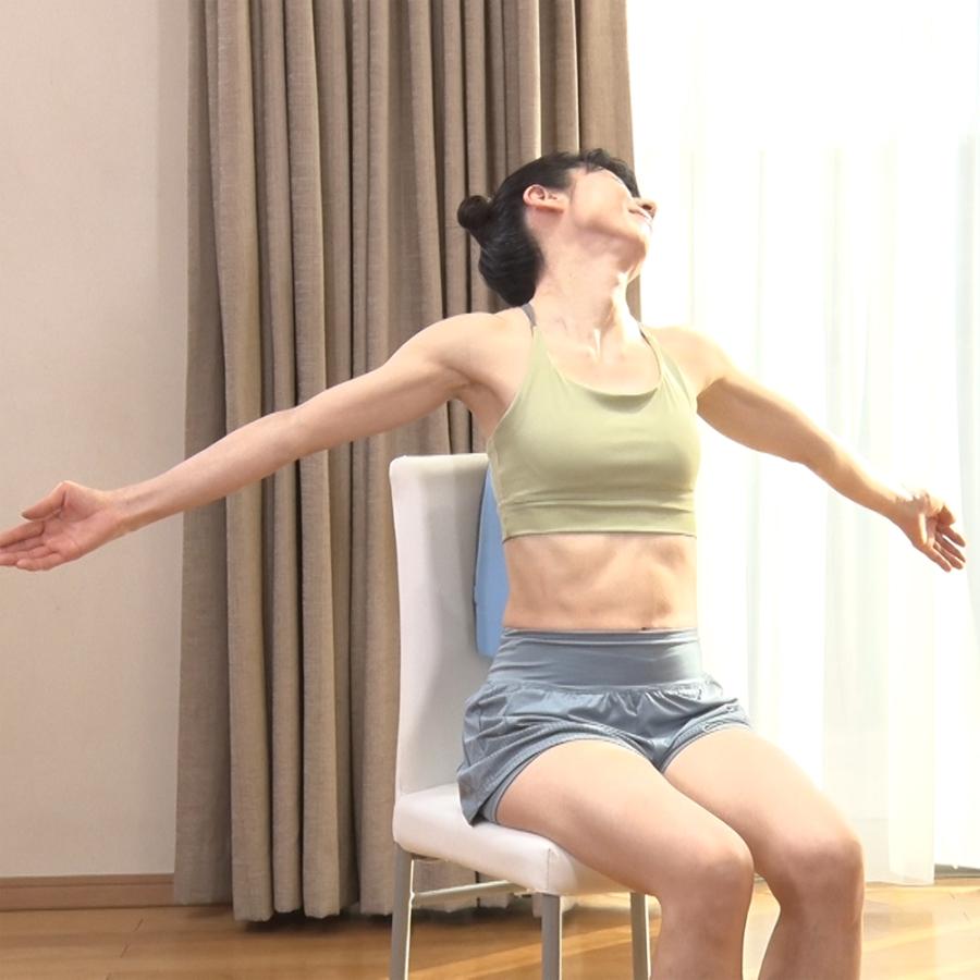 シェイプス 背骨アクティブクッション シェイプ スリミング器具 AR2654