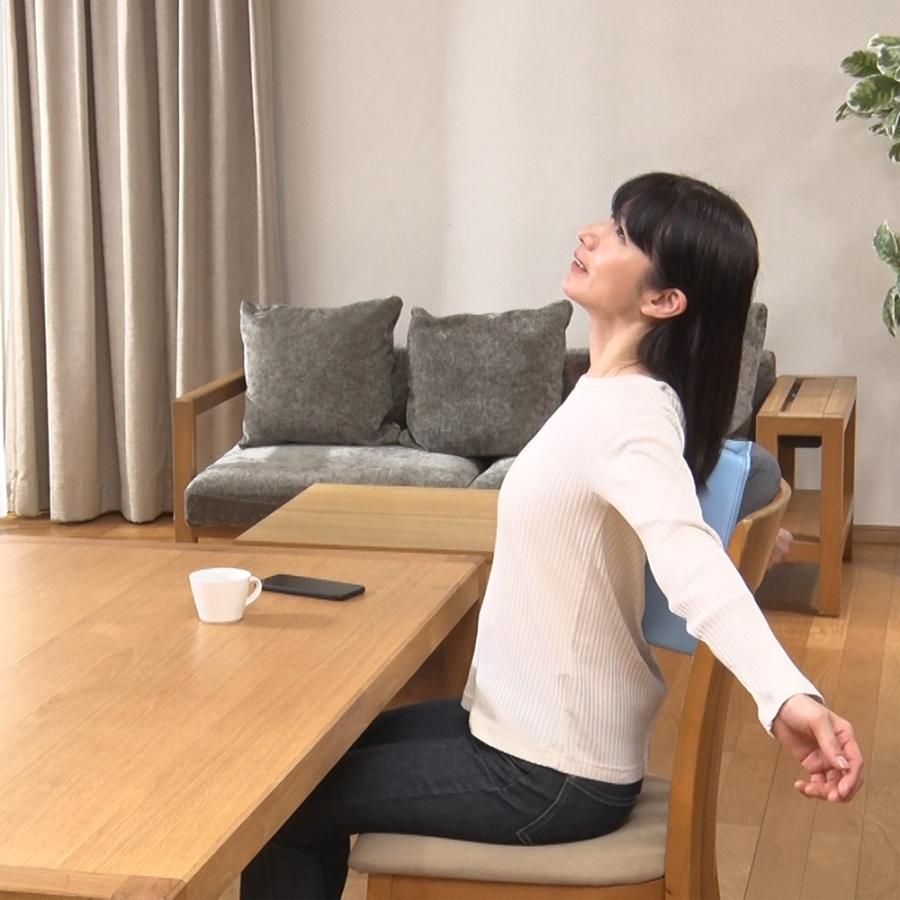 シェイプス アクティブ 姿勢矯正 背筋伸ばし 猫背 骨盤サポート 美姿勢