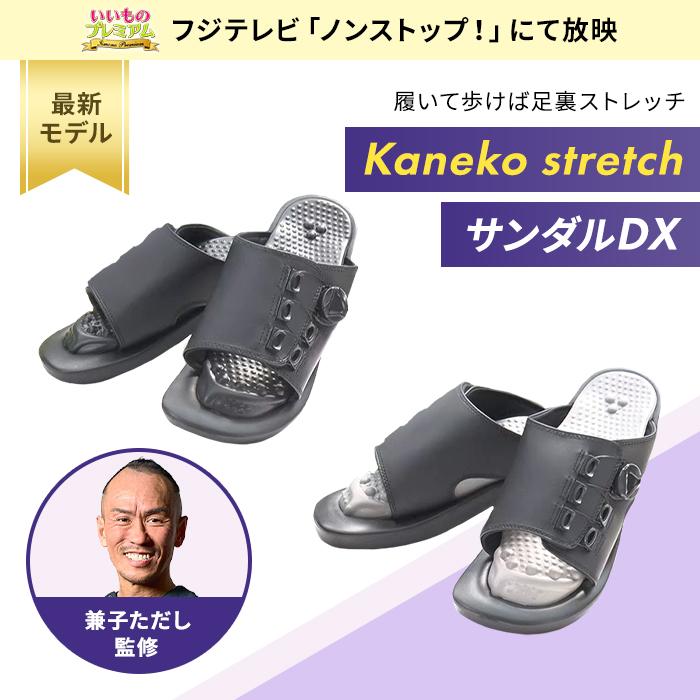 dinos（ディノス） サンダル アーチサポート 足裏 レディース 外履き