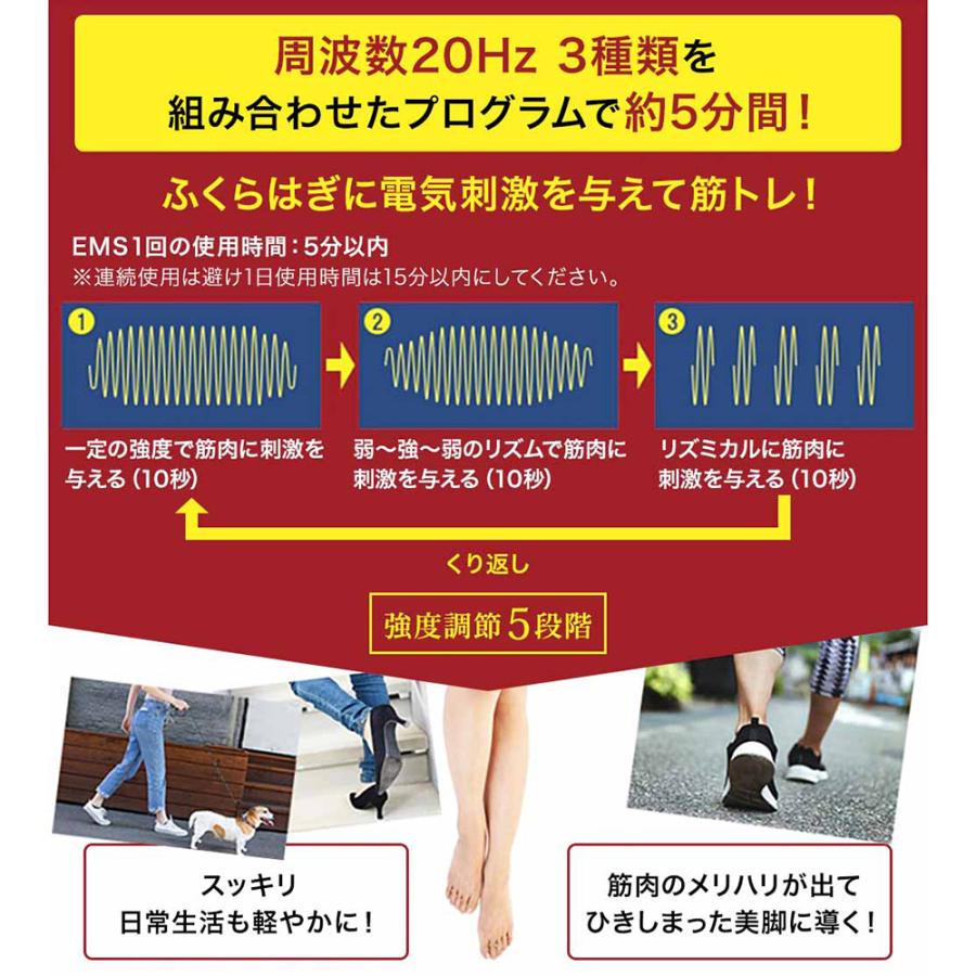 スリミング器具 送料無料 【EXTREME】 スタイリーレッグ AR2687