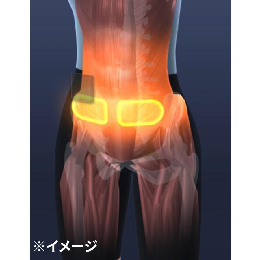 dinos（ディノス） EMS トレーニングウェア スパッツ型 お腹 引き締め