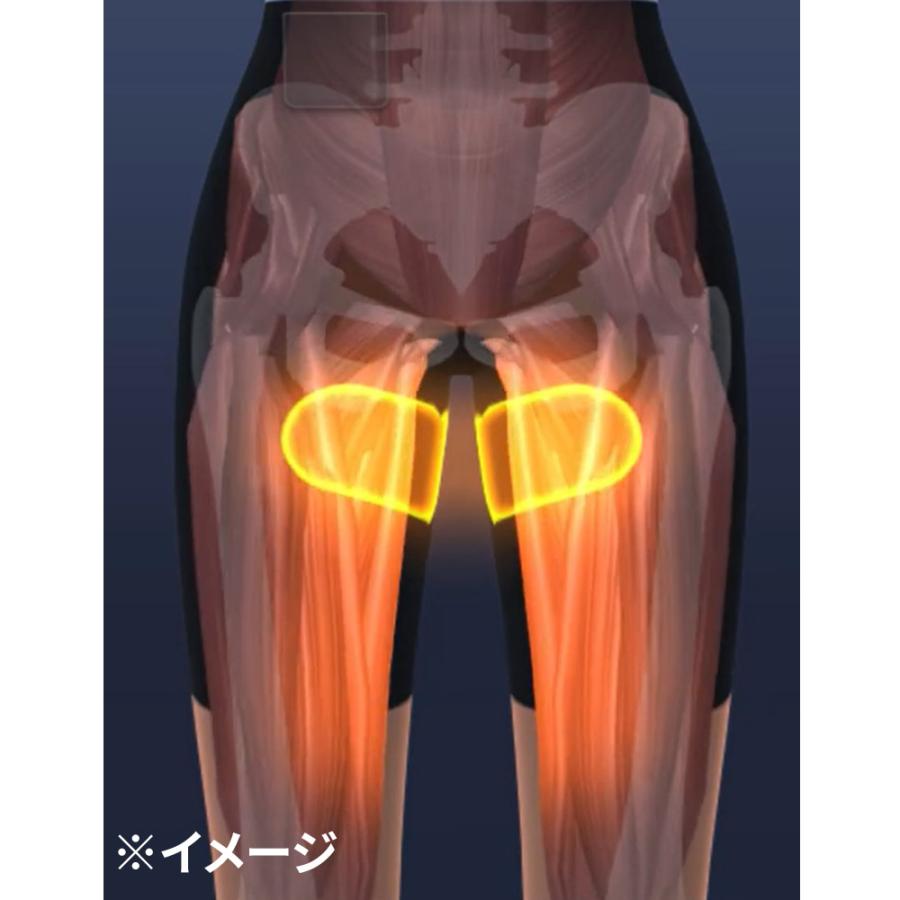 dinos（ディノス） EMS トレーニングウェア スパッツ型 お腹 引き締め