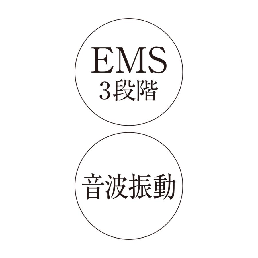 LUXCEAR（ルクセア） 鼻専用美顔器 ノーズクリップ EMS 美顔器 鼻 矯正