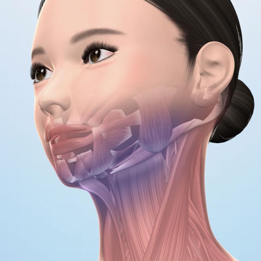 StylFace SLF-100 ディノス EMS 美顔器 スタイリーフェイス 家庭用美容機器 フェイスケア dinos（ディノス） スタイリーフェイス 美容 美顔器 EMS フェイス