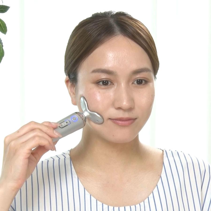 StylFace SLF-100 ディノス EMS 美顔器 スタイリーフェイス 家庭用美容機器 フェイスケア dinos（ディノス） スタイリーフェイス 美容 美顔器 EMS フェイス