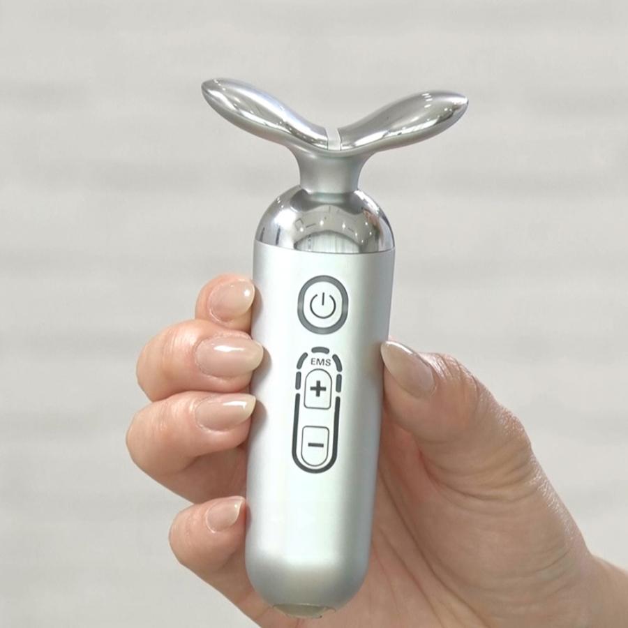 dinos（ディノス） スタイリーフェイス 美容 美顔器 EMS フェイス