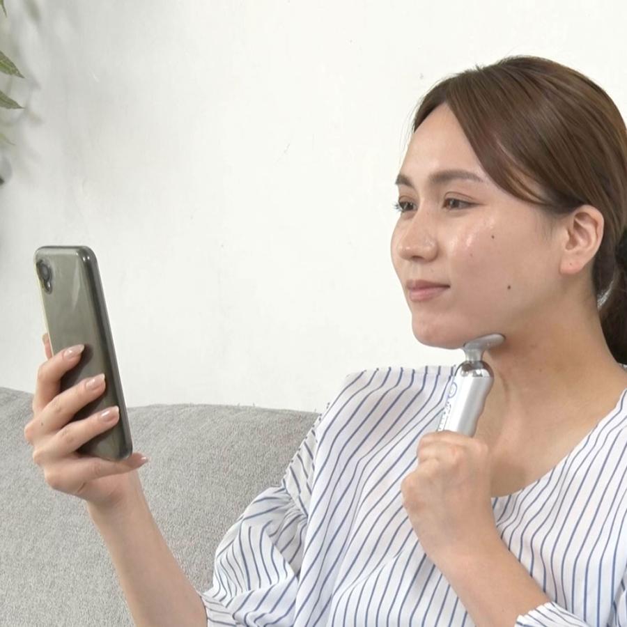 StylFace SLF-100 ディノス EMS 美顔器 スタイリーフェイス 家庭用美容機器 フェイスケア dinos（ディノス） スタイリーフェイス 美容 美顔器 EMS フェイス