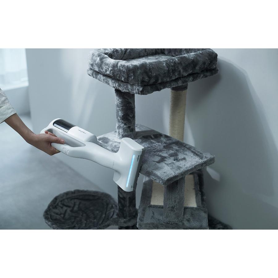 dinos（ディノス） レイコップ コードレスUV布団クリーナー 特別セット