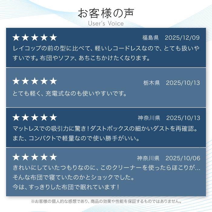 レイコップ（RAYCOP） 布団クリーナー ダニ退治 アレルギー対策 花粉