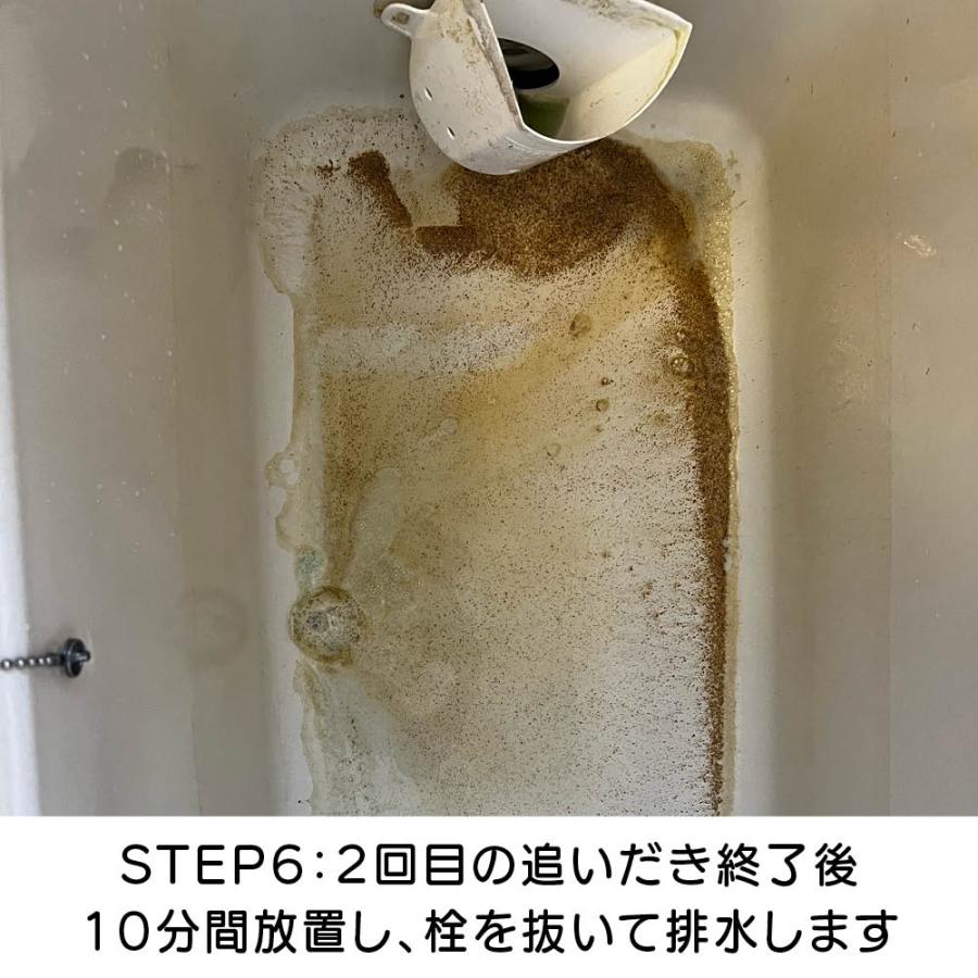 大掃除 掃除 お風呂 追い焚き 配管 洗浄剤 浴槽 風呂釜 クリーナー カビ 雑菌 湯ドロ 湯アカ スメリ 追い焚き配管洗浄剤 ドバットロン by ナイアガラーン AR2811 | dinos | 15