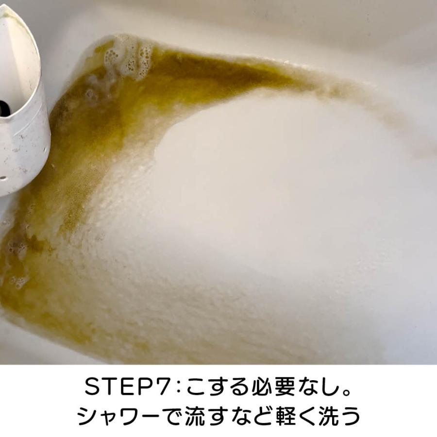 大掃除 掃除 お風呂 追い焚き 配管 洗浄剤 浴槽 風呂釜 クリーナー カビ 雑菌 湯ドロ 湯アカ スメリ 追い焚き配管洗浄剤 ドバットロン by ナイアガラーン AR2811 | dinos | 16