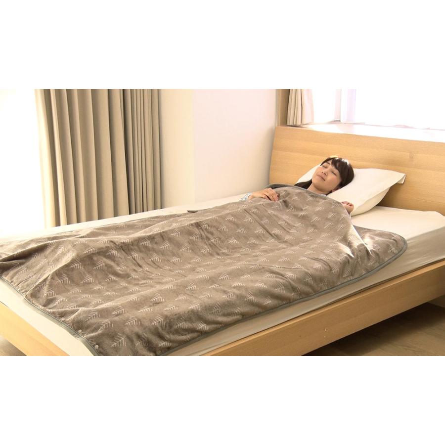 dinos（ディノス） 電気ブランケット ひざ掛け 大判サイズ 節電省エネ