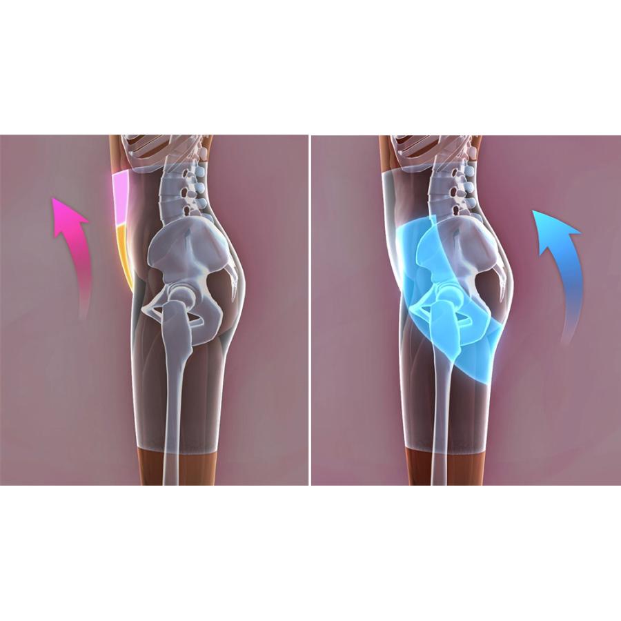 dinos（ディノス） 芦屋美整体 骨盤プロリセットショーツ シームレス