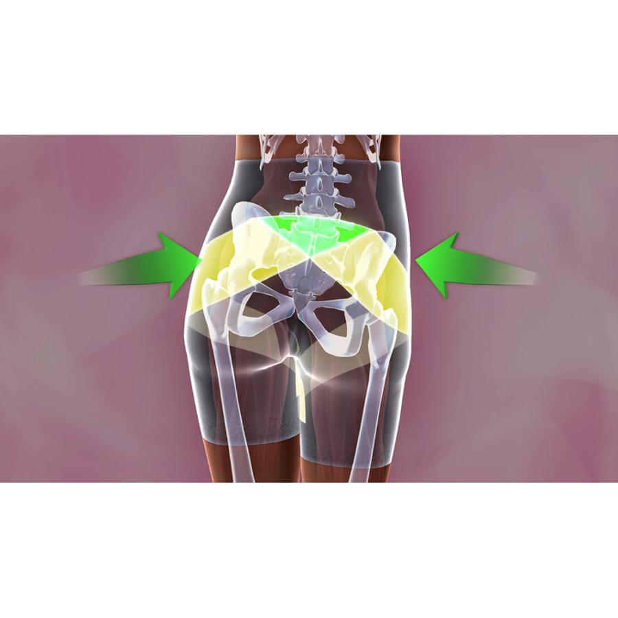 dinos（ディノス） 骨盤補整 ショーツ シームレス 補整下着 レディース