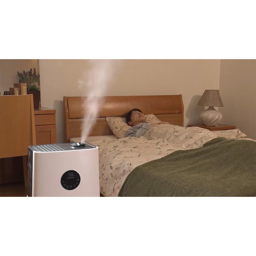 dinos（ディノス） duux/デュクス ハイブリッド式加湿器 サーモ