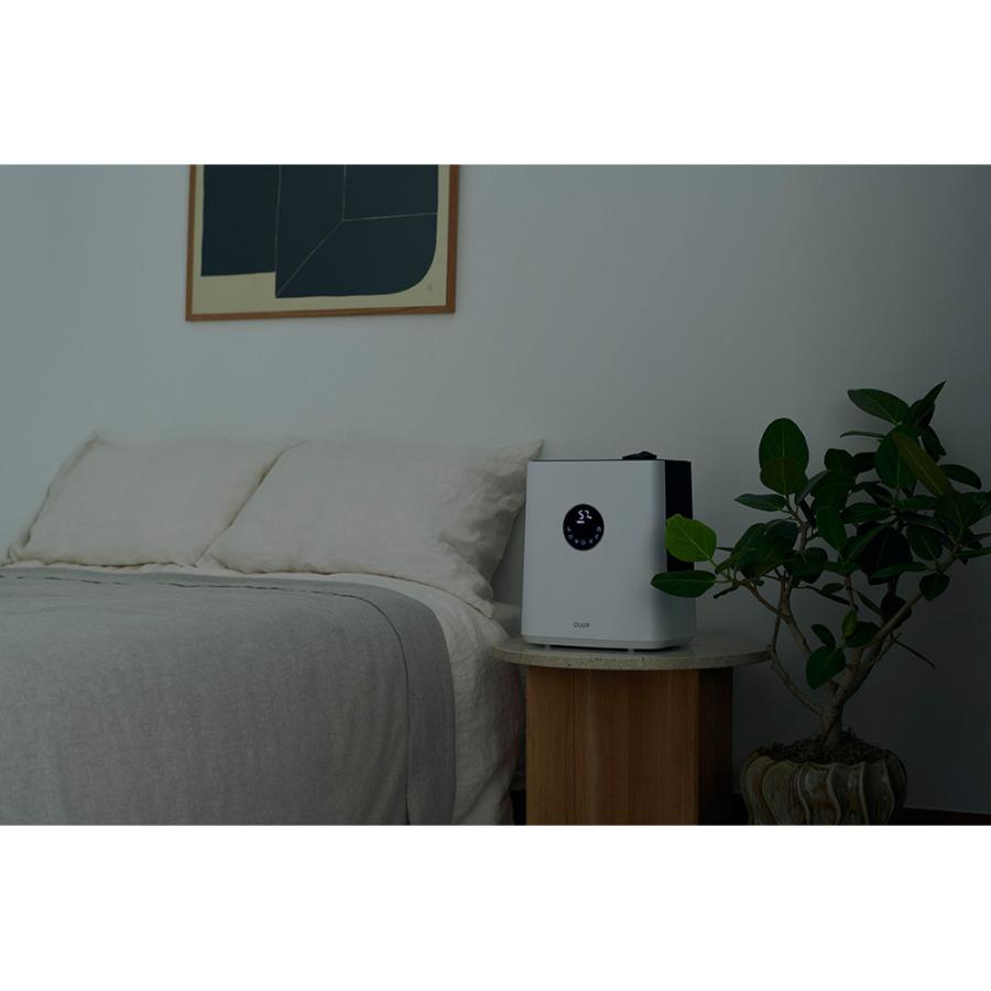 dinos（ディノス） duux/デュクス ハイブリッド式加湿器 サーモ