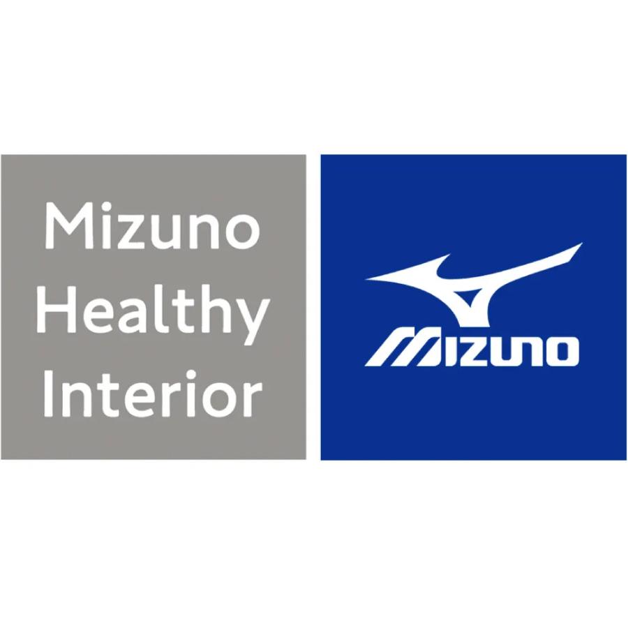 スクワット椅子 椅子 トレーニング ストレッチ ディノス いいものプレミアム MIZUNO/ミズノ スクワットスリール デルタ シェイプ フィットネス器具 AR2855の画像