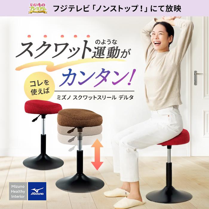 dinos（ディノス） スクワット椅子 椅子 トレーニング ストレッチ いい