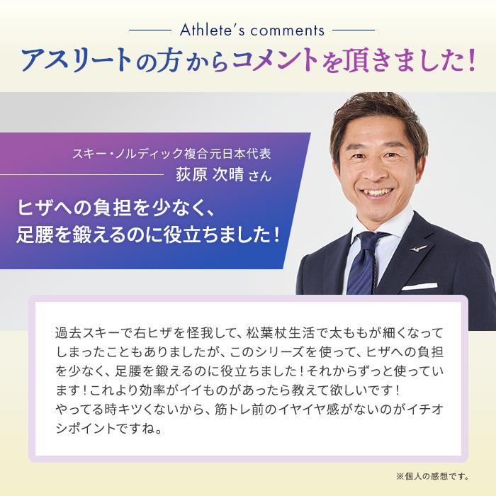 スクワット椅子 椅子 トレーニング ストレッチ ディノス いいものプレミアム MIZUNO/ミズノ スクワットスリール デルタ シェイプ フィットネス器具 AR2855の画像