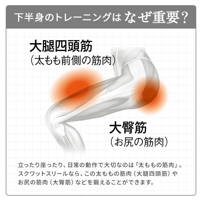 MIZUNO（ミズノ） スクワット椅子 椅子 トレーニング ストレッチ