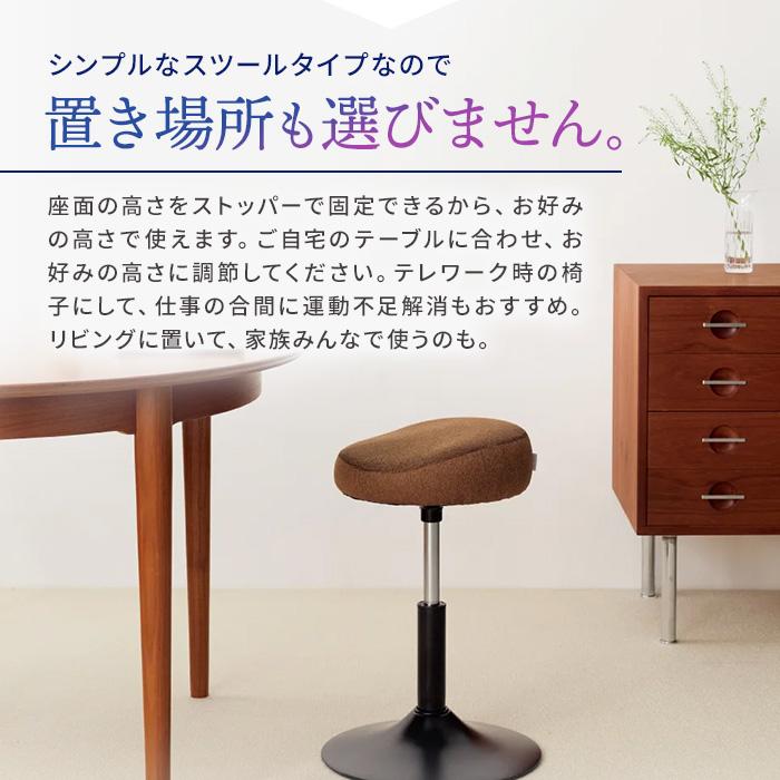 【美品】ミズノ MIZUNO スクワットスリール α　スツール 椅子 ブラウン MIZUNO（ミズノ） スクワット椅子 椅子 トレーニング ストレッチ