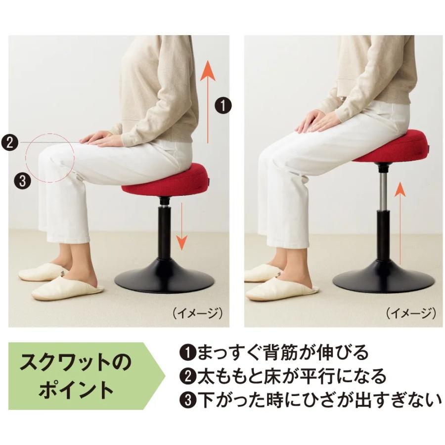 MIZUNO（ミズノ） スクワット椅子 椅子 トレーニング ストレッチ