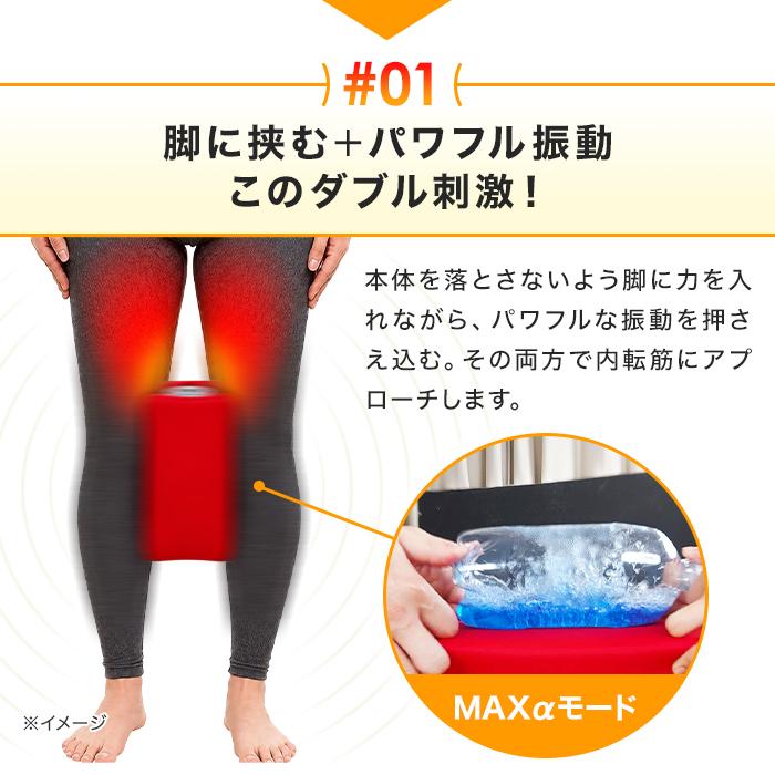 dinos（ディノス） トレーニング マシン 筋トレ エクササイズ 内転筋