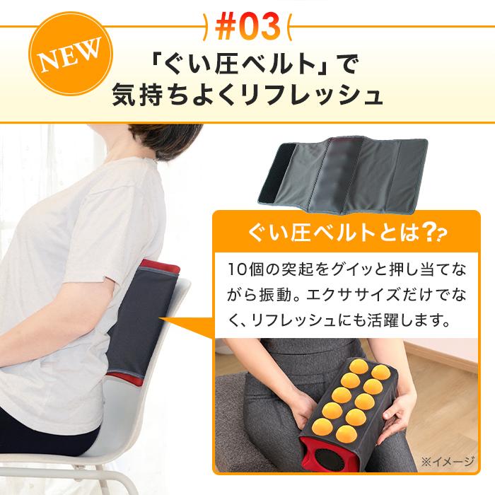 dinos（ディノス） トレーニング マシン 筋トレ エクササイズ 内転筋