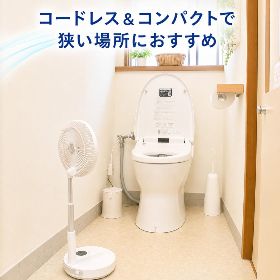 dinos（ディノス） duux/デュクス 伸縮コードレスファン ディノス55