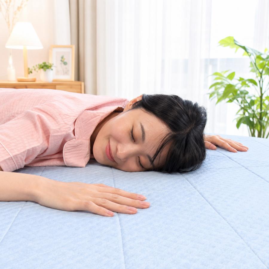 dinos（ディノス） 敷パッド 夏用寝具 モリリン 冷感ジェル敷きパッド