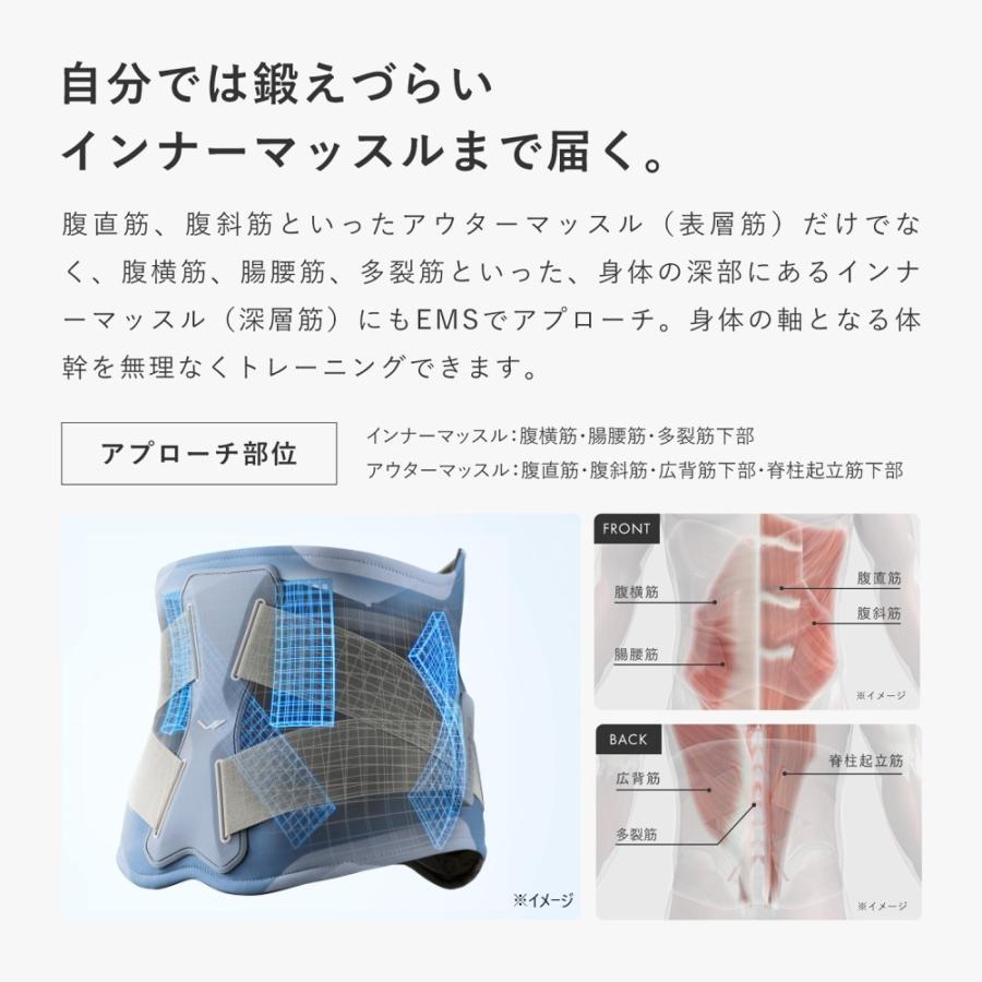 dinos（ディノス） シックスパッド SIXPAD 正規品 ディノス55周年記念