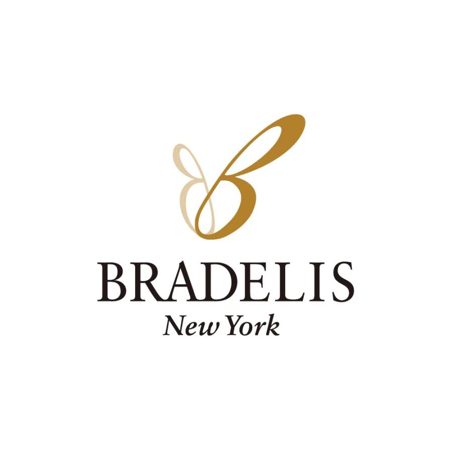 ブラデリスニューヨーク ブラキャミ いいものプレミアム BRADELIS NewYork 補正 BRADELIS NewYork/ブラデリスニューヨーク シアーメイクブラキャミ AR3003 | dinos | 17