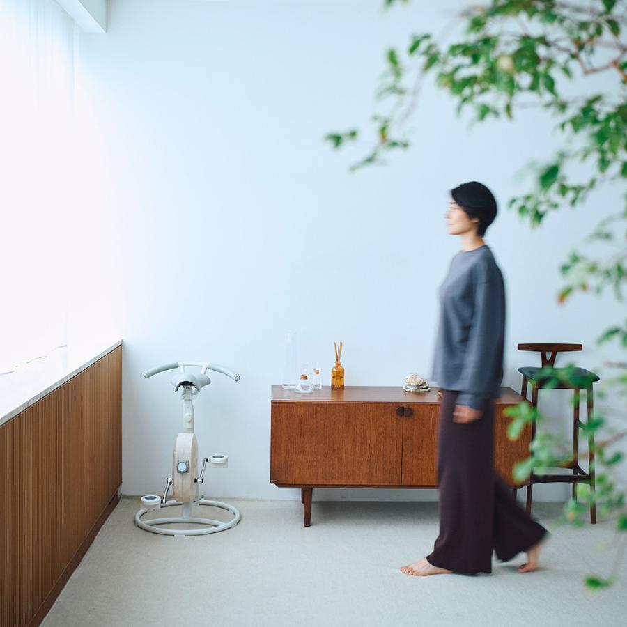 フィットネスバイク エアロバイク コアバイク 静音 家庭用 体幹トレーニング ミニ 【最新モデル】BEAXIS/ビーアクシス バランスコアライド｜送料無料 BL0979 | dinos | 11