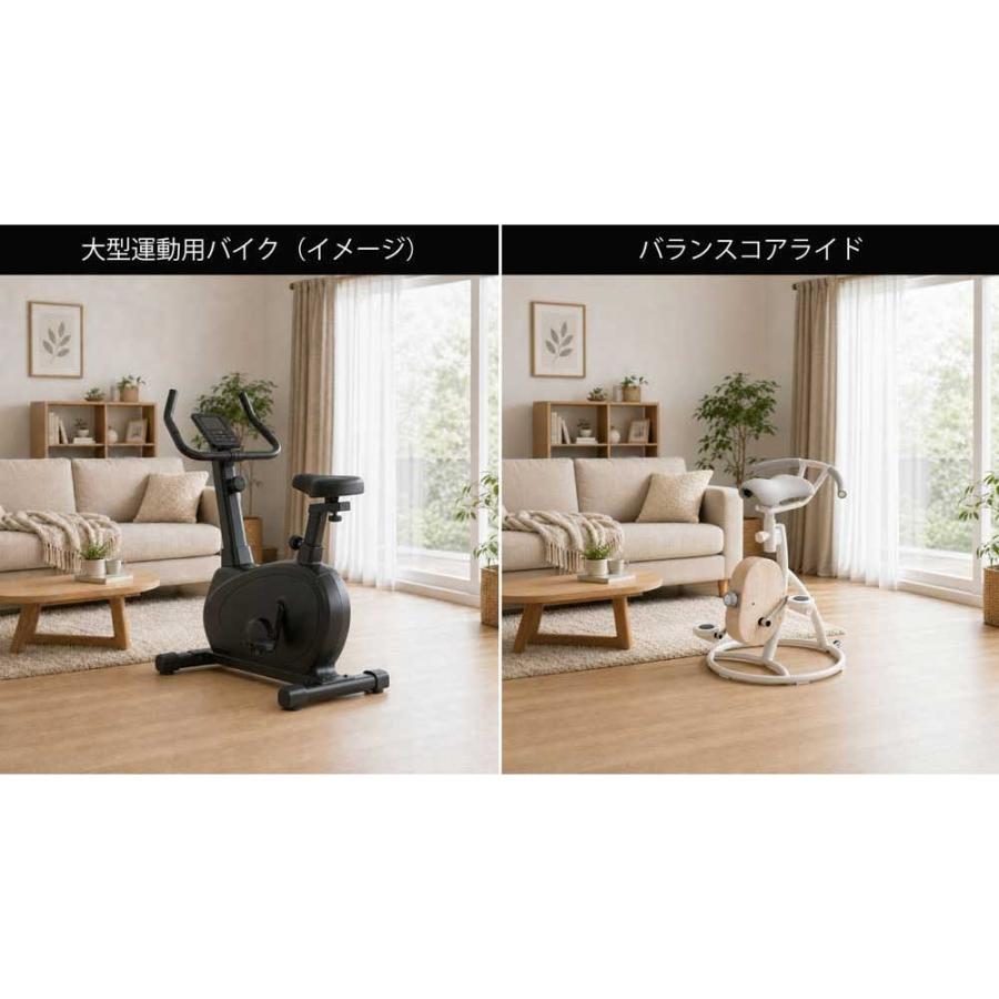 フィットネスバイク エアロバイク コアバイク 静音 家庭用 体幹トレーニング ミニ 【最新モデル】BEAXIS/ビーアクシス バランスコアライド｜送料無料 BL0979 | dinos | 12
