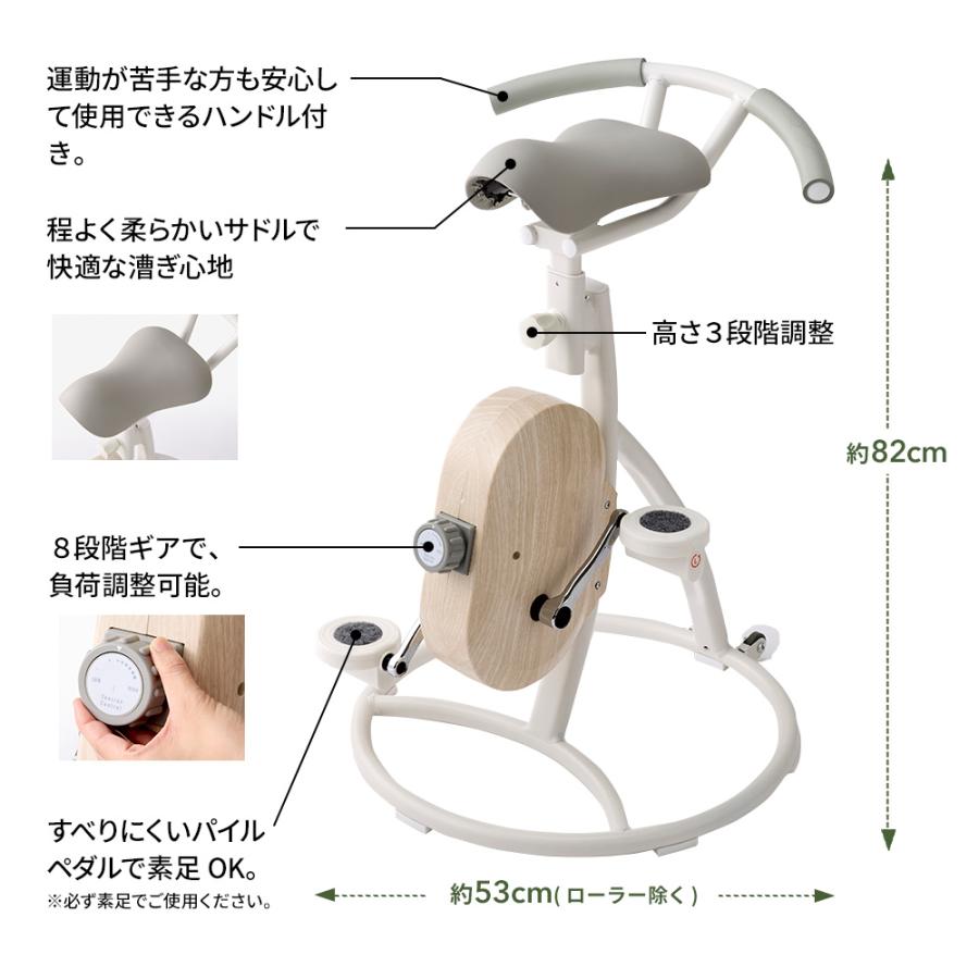 フィットネスバイク エアロバイク コアバイク 静音 家庭用 体幹トレーニング ミニ 【最新モデル】BEAXIS/ビーアクシス バランスコアライド｜送料無料 BL0979 | dinos | 17