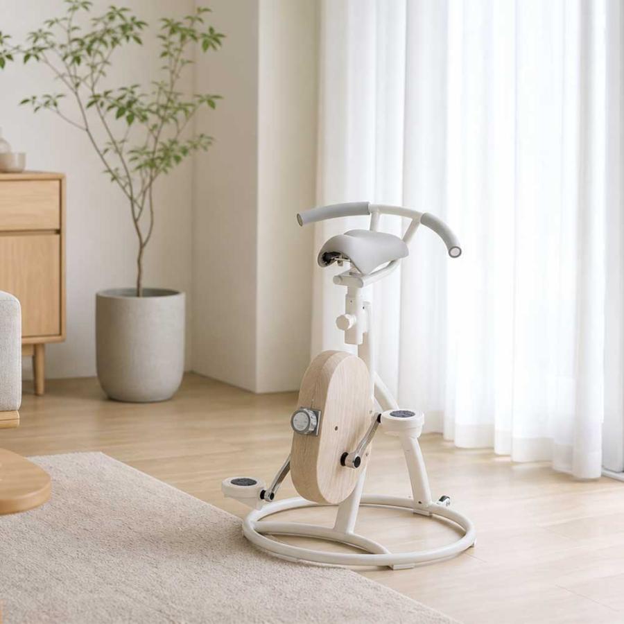 フィットネスバイク エアロバイク コアバイク 静音 家庭用 体幹トレーニング ミニ 【最新モデル】BEAXIS/ビーアクシス バランスコアライド｜送料無料 BL0979 | dinos | 01
