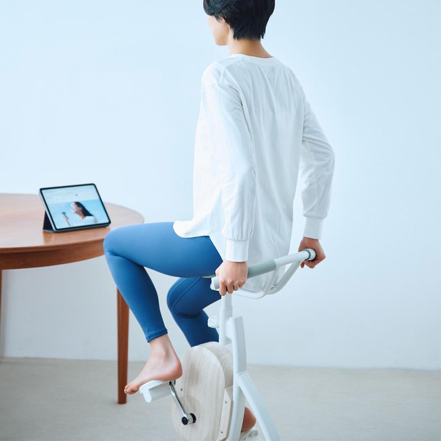 フィットネスバイク エアロバイク コアバイク 静音 家庭用 体幹トレーニング ミニ 【最新モデル】BEAXIS/ビーアクシス バランスコアライド｜送料無料 BL0979 | dinos | 05