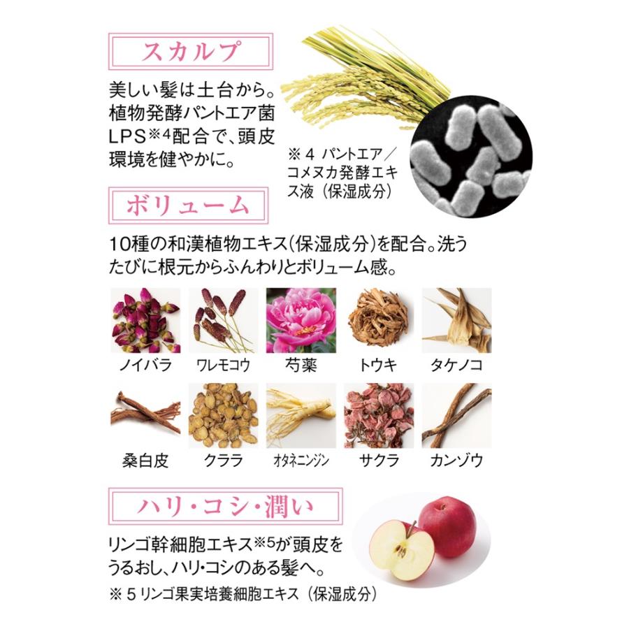 dinos（ディノス） imini/イミニ プロスカルプ（オールインワン