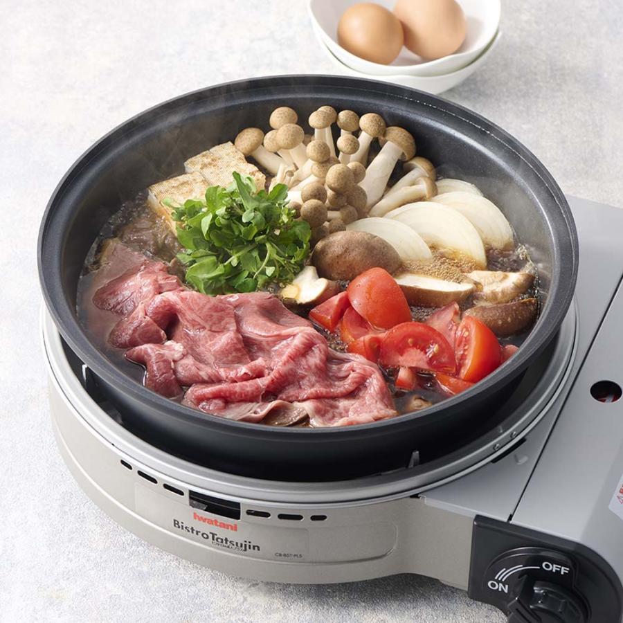 イワタニ ビストロの達人プラス グリルプレート＆焼き肉プレート付きのディノス特別セット！ キッチン家電 調理家電 620804 | dinos | 07