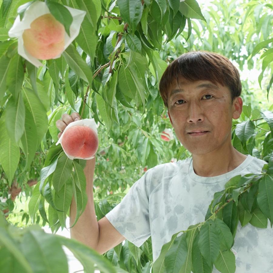 野菜 果物 フルーツ 山梨産　古屋さんの桃　黄金桃　約１.８ｋｇ N99089｜dinos｜02