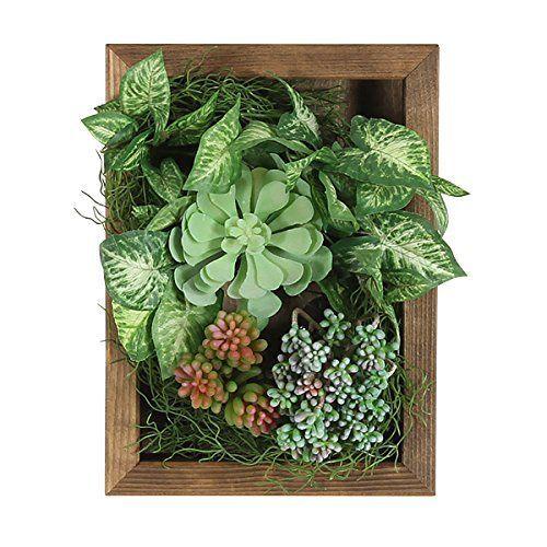 正規品 Arne 光触媒 多肉植物 フェイクグリーン 多肉 観葉植物 壁掛け 人工観葉植物 インテリア 壁掛 インテリアグリーン フェイク ミニ ウ Diofioredrago 通販 Yahoo ショッピング 新しいコレクション Miamiconservatoryofmusic Com